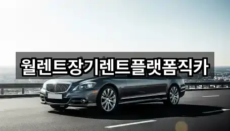 중앙동2가 장기렌트카 추천 목록 1곳