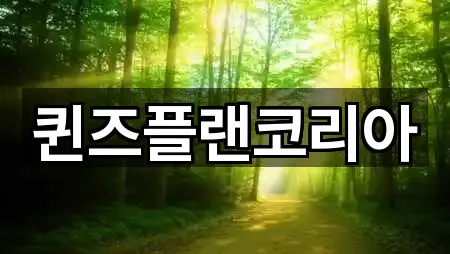 퀸즈플랜코리아