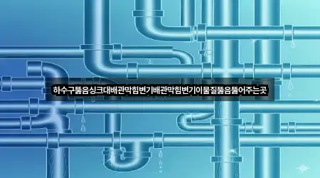 하수구뚫음싱크대배관막힘변기배관막힘변기이물질뚫음뚫어주는곳