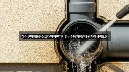 하수구막힘뚫음싱크대막힘변기막힘누수탐지청년배관케어서귀포점