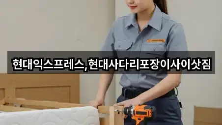 현대익스프레스,현대사다리포장이사이삿짐