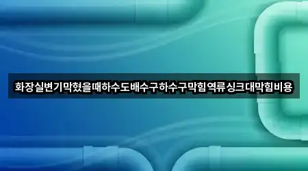 화장실변기막혔을때하수도배수구하수구막힘역류싱크대막힘비용