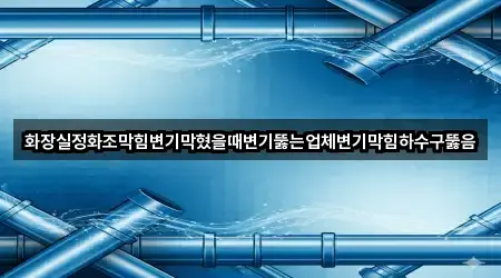 화장실정화조막힘변기막혔을때변기뚫는업체변기막힘하수구뚫음