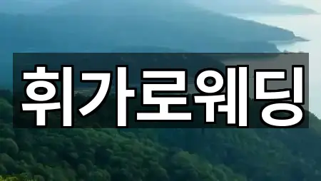 목포시 중동1가 웨딩드레스 총정리 2곳