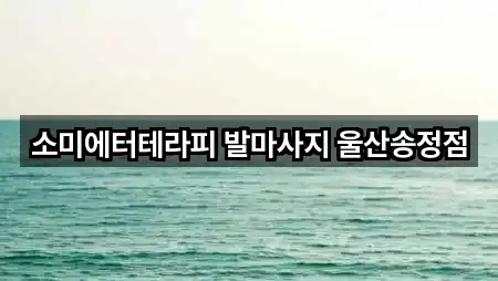 소미에터테라피 발마사지 울산송정점