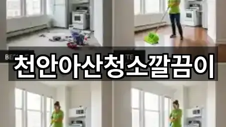 천안아산청소깔끔이