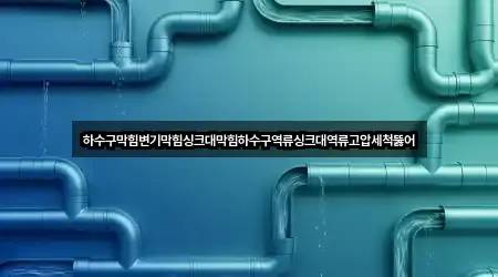 하수구막힘변기막힘싱크대막힘하수구역류싱크대역류고압세척뚫어