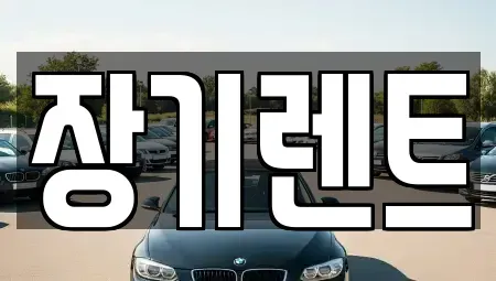강원 강릉시 강문동 장기렌트카 전문 장기렌트