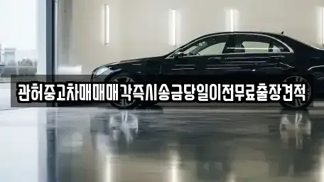 강원 강릉시 강문동 중고차매매 전문 관허중고차매매매각즉시송금당일이전무료출장견적