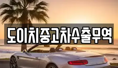 강원 강릉시 강문동 중고차매매 전문 도이치중고차수출무역