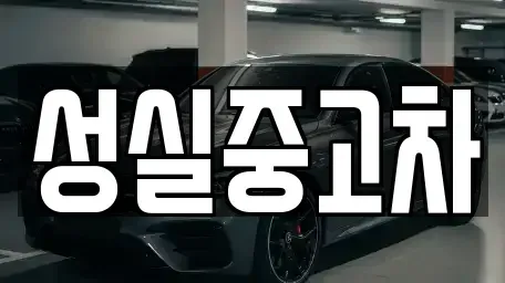 강원 강릉시 강문동 중고차매매 전문 성실중고차