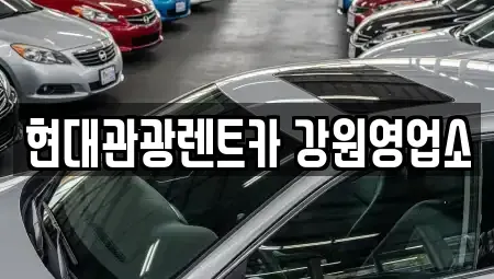 강원 강릉시 내곡동 렌트카,단기렌트카,장기렌트카,중고차,중고차매매,중고차매입