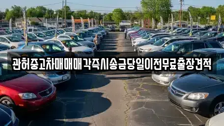 강원 강릉시 내곡동 중고차 전문 관허중고차매매매각즉시송금당일이전무료출장견적