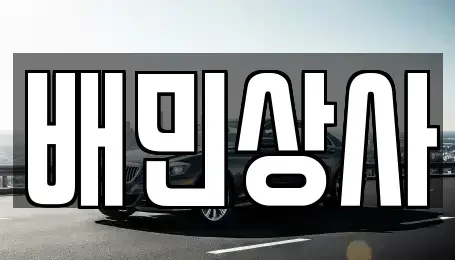 강원 강릉시 내곡동 중고차 전문 배민상사