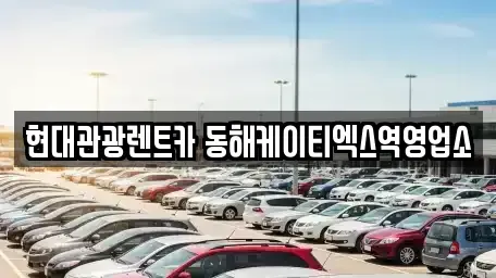 강원 동해시 지흥동 단기렌트카,중고차매입,중고차매매,중고차,렌트카,장기렌트카