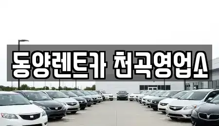 강원 동해시 지흥동 렌트카 전문 동양렌트카 천곡영업소