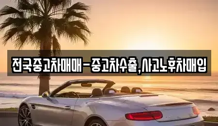 강원 동해시 지흥동 중고차매입 전문 전국중고차매매-중고차수출,사고노후차매입