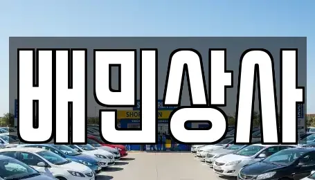 강원 삼척시 갈천동 중고차매매 전문 배민상사