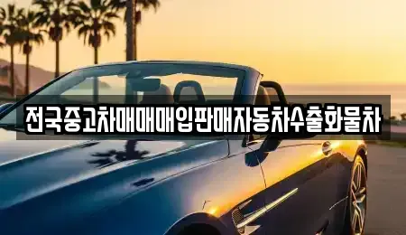 강원 속초시 금호동 중고차 전문 전국중고차매매매입판매자동차수출화물차