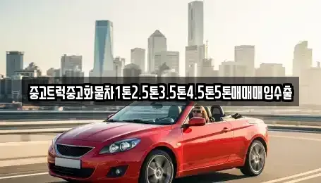 강원 속초시 금호동 중고차 전문 중고트럭중고화물차1톤2.5톤3.5톤4.5톤5톤매매매입수출
