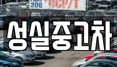 강원 속초시 금호동 중고차매매 전문 성실중고차