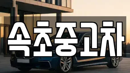 강원 속초시 중고차매매 전문 속초중고차