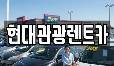 강원 속초시 청호동 렌트카 전문 현대관광렌트카