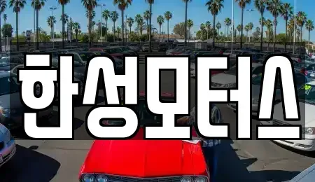 강원 속초시 청호동 중고차 전문 한성모터스
