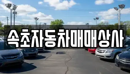 강원 속초시 청호동 중고차매매,단기렌트카,중고차매입,장기렌트카,중고차,렌트카