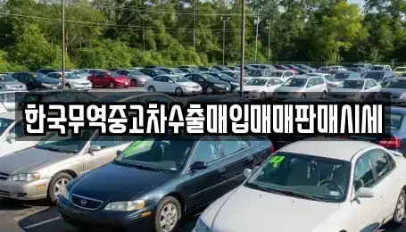 강원 속초시 청호동 중고차매입 전문 한국무역중고차수출매입매매판매시세