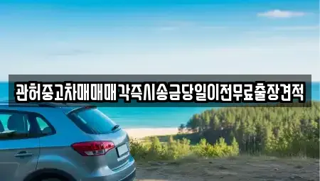강원 춘천시 중앙로1가 중고차 전문 관허중고차매매매각즉시송금당일이전무료출장견적