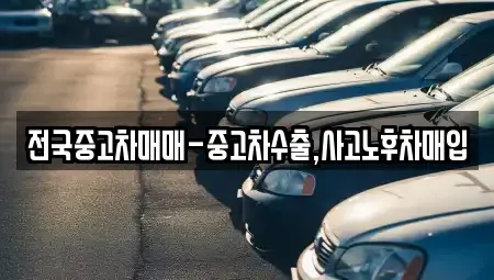 강원 춘천시 중앙로1가 중고차 전문 전국중고차매매-중고차수출,사고노후차매입