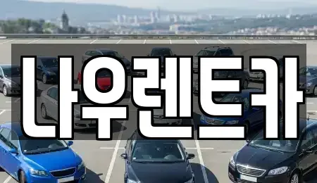 강원 평창군 방림면 렌트카 전문 나우렌트카