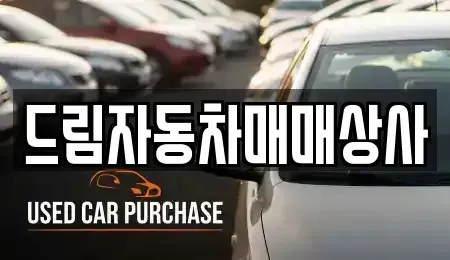 강원 홍천군 화촌면 중고차 전문 드림자동차매매상사