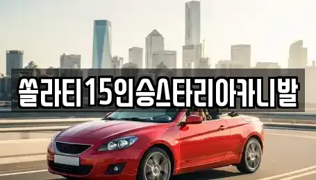강원 횡성군 강림면 렌트카 전문 쏠라티15인승스타리아카니발