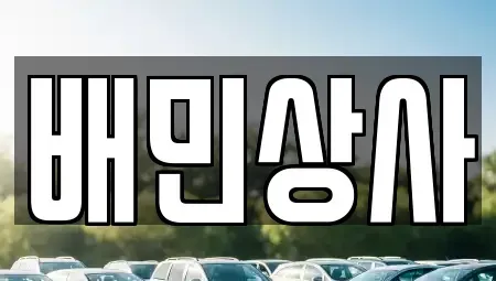 강원 횡성군 둔내면 중고차 전문 배민상사