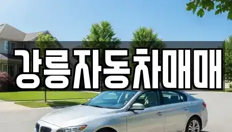 강원특별자치도 강릉시 명주동 중고차매매 전문 강릉자동차매매