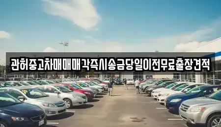 강원특별자치도 강릉시 명주동 중고차매매 전문 관허중고차매매매각즉시송금당일이전무료출장견적