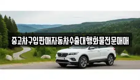 강원특별자치도 강릉시 명주동 중고차매매 전문 중고차구입판매자동차수출대행화물전문매매