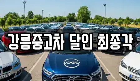 강원특별자치도 강릉시 학동 중고차매매 전문 강릉중고차 달인 최종각