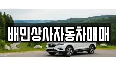 강원특별자치도 강릉시 학동 중고차매매 전문 배민상사자동차매매