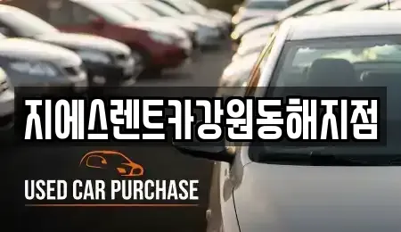 강원특별자치도 동해시 동회동 렌트카 전문 지에스렌트카강원동해지점