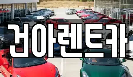 강원특별자치도 동해시 지흥동 렌트카 전문 건아렌트카