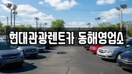 강원특별자치도 동해시 지흥동 렌트카 전문 현대관광렌트카 동해영업소