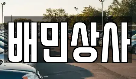 강원특별자치도 삼척시 조비동 중고차 전문 배민상사