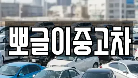 강원특별자치도 삼척시 조비동 중고차 전문 뽀글이중고차