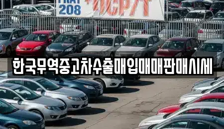 강원특별자치도 양구군 국토정중앙면 중고차 전문 한국무역중고차수출매입매매판매시세