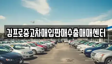 강원특별자치도 양구군 국토정중앙면 중고차매입 전문 김프로중고차매입판매수출매매센터