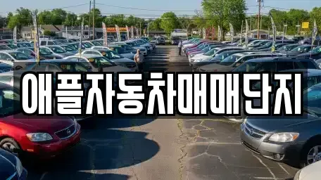 강원특별자치도 원주시 중앙동 중고차 전문 애플자동차매매단지