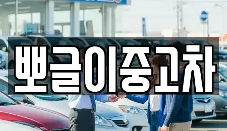 강원특별자치도 정선군 북평면 중고차 전문 뽀글이중고차
